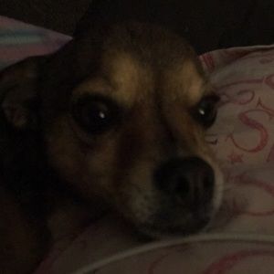 Meet your Posher, Ann